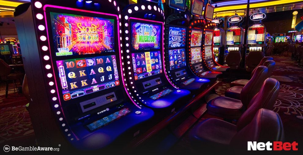 pg96br - App Bet Login